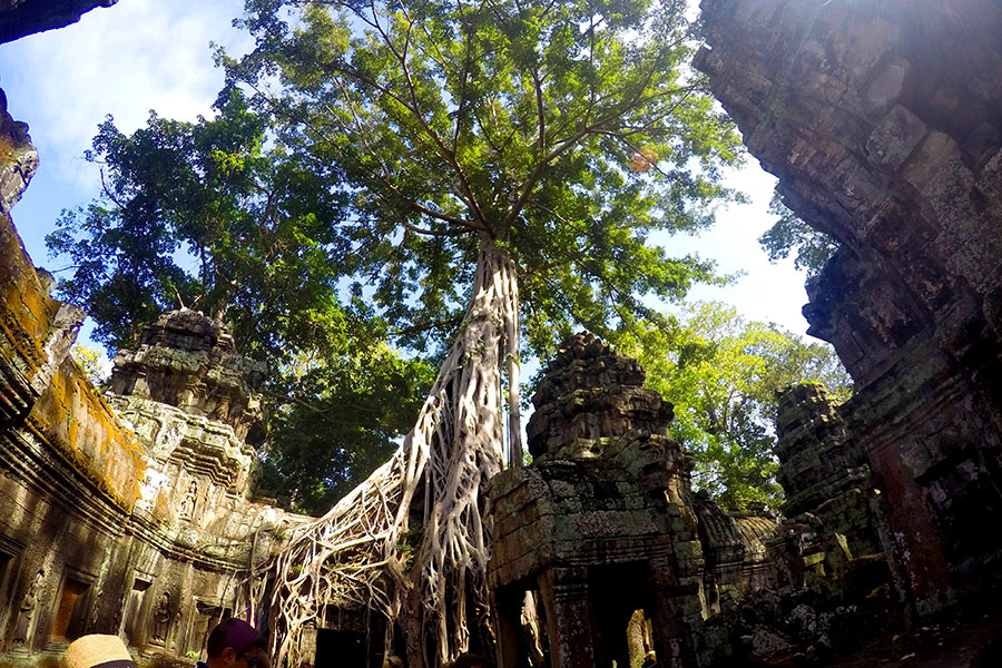 templos angkor